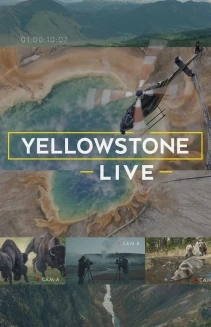 Watch Yellowstone Live online