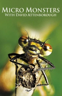 Watch Micro Monsters with David Attenborough online