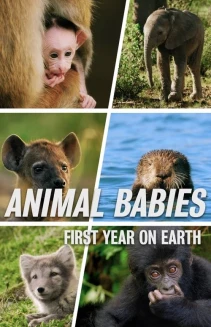Watch Animal Babies: First Year On Earth online