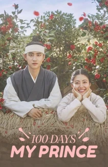 Watch 100 Days My Prince online