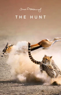 Watch The Hunt online