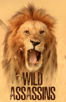 Watch Wild Assassins online