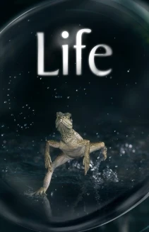 Watch Life online
