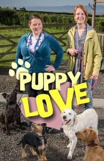 Watch Puppy Love online