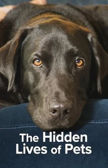 Watch The Hidden Lives of Pets online