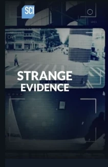 Watch Strange Evidence online