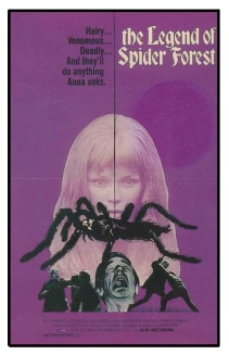 The Legend of Spider Forest