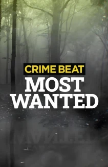 Watch Crime Beat: Most Wanted online