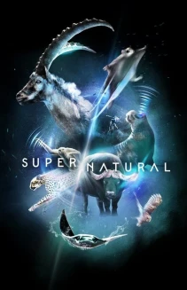 Watch Super/Natural online