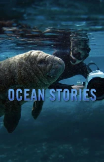 Watch Ocean Stories online