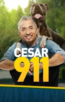 Watch Cesar 911 online