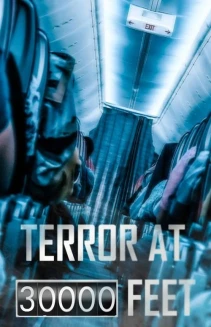 Watch Terror at 30000 Feet online