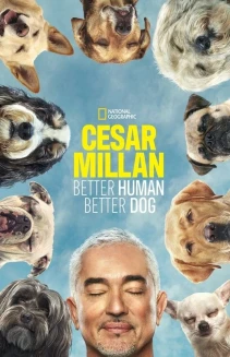 Watch Cesar Millan: Better Human, Better Dog online