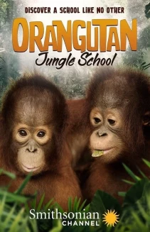 Watch Orangutan Jungle School online