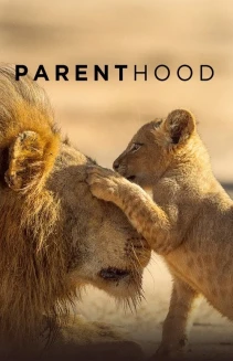 Watch Parenthood online