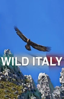 Watch Wild Italy online