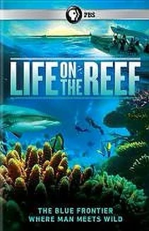Watch Life on the Reef online