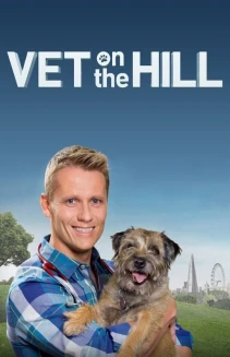 Watch Vet On The Hill online