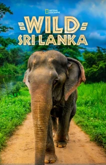 Watch Wild Sri Lanka online