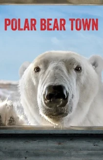 Watch Polar Bear Town online