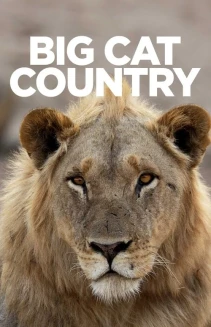 Watch Big Cat Country online