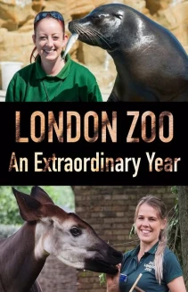 Watch London Zoo: An Extraordinary Year online