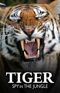Watch Tiger: Spy In The Jungle online