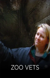 Watch Zoo Vets online