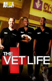 Watch The Vet Life online