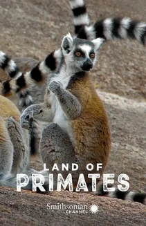 Watch Land of Primates online