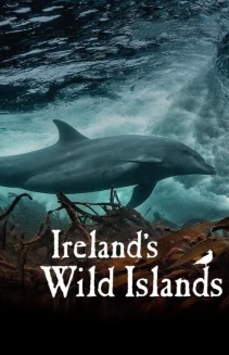 Watch Ireland's Wild Islands online