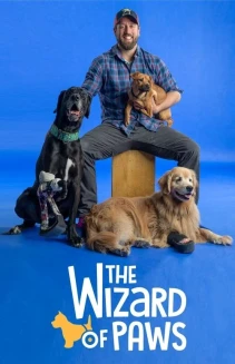 Watch The Wizard of Paws online
