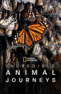 Watch Incredible Animal Journeys online