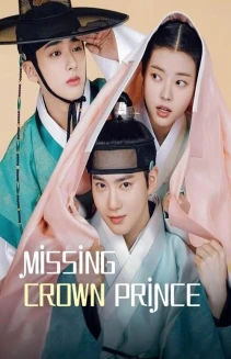 Watch Missing Crown Prince online