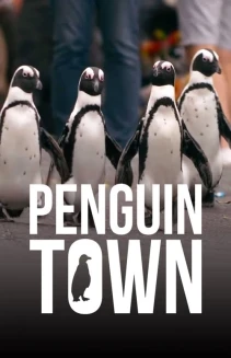 Watch Penguin Town online