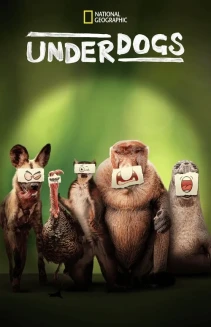 Watch Underdogs online