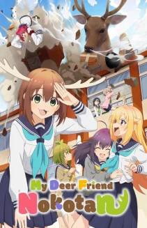 Watch My Deer Friend Nokotan online