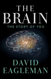 Watch The Brain with David Eagleman online