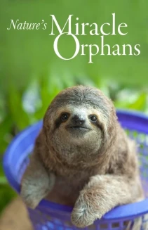 Watch Nature's Miracle Orphans online