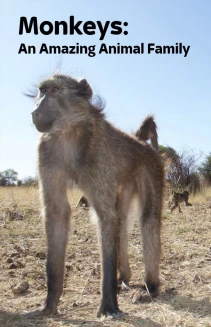 Watch Amazing Monkeys online