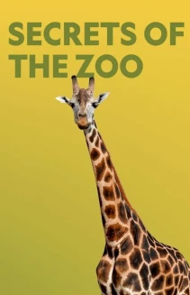 Watch Secrets of the Zoo online