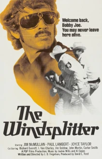 The Windsplitter