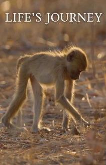 Watch Life's Journey online