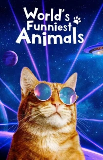 Watch World's Funniest Animals online