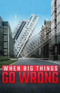 Watch When Big Things Go Wrong online