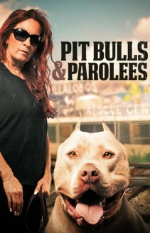 Watch Pit Bulls and Parolees online
